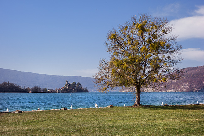 photo montagne alpes haute savoie annecy lac velo