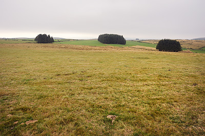 photo aubrac cantal lozère