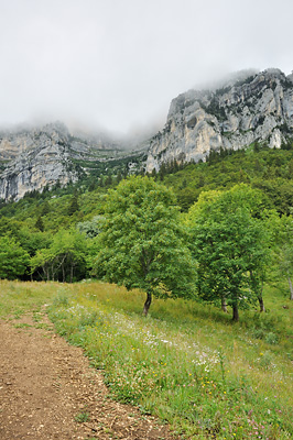 photo montagne randonnée chartreuse plateaux aulp seuil