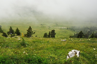 photo montagne randonnée chartreuse plateaux aulp seuil