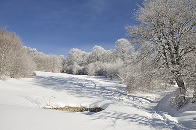 photo montagne randonnée bugey cret du nû plateau retord