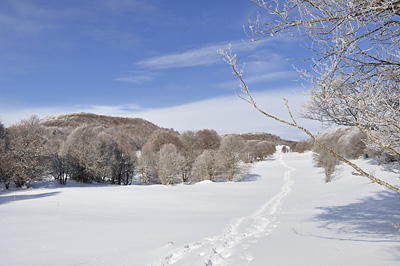 photo montagne randonnée bugey cret du nû plateau retord