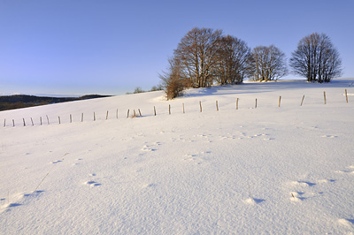 photo montagne randonnée bugey cret du nû plateau retord