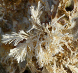 photo montagne randonnée calanques