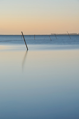 photo camargue etang vaccares