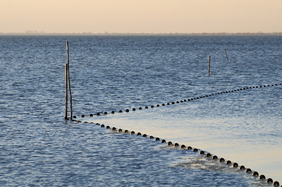 photo camargue etang vaccares