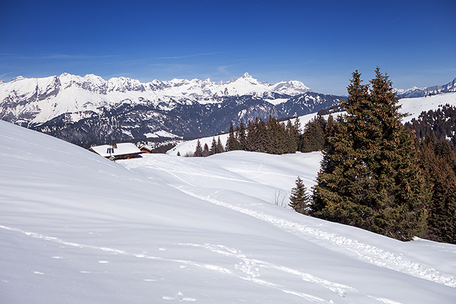 photo montagne alpes randonnée rando raquettes savoie beaufortain les saisies crest voland notre dame de bellecombe chard du beurre