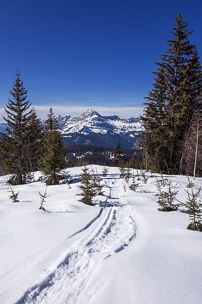 photo montagne alpes randonnée rando raquettes savoie beaufortain les saisies crest voland notre dame de bellecombe chard du beurre