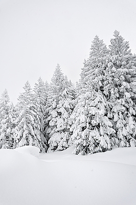 photo montagne alpes bauges randonnée raquettes col arclusaz