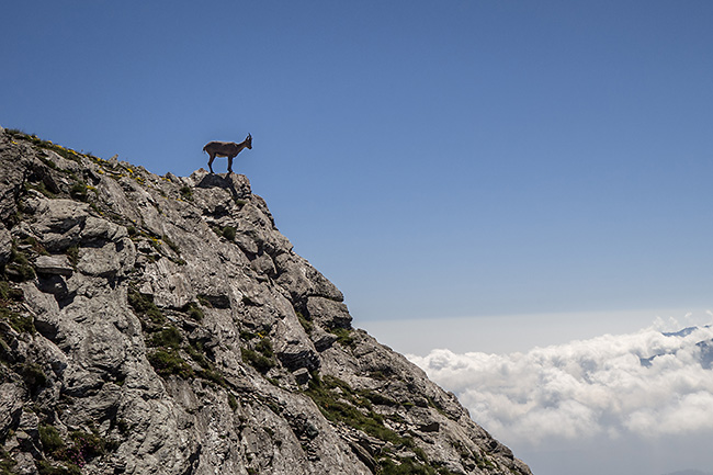 photo montagne alpes randonnee rando queyras col bouchet col malaure