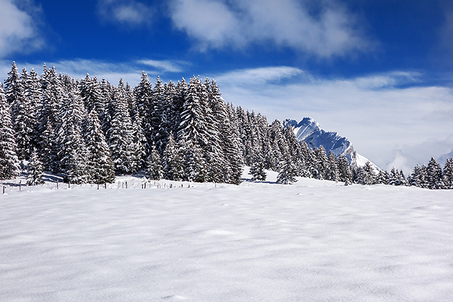 photo montagne alpes randonnée rando raquettes haute savoie aravis manigod col croix fry croix colomban plateau beauregard