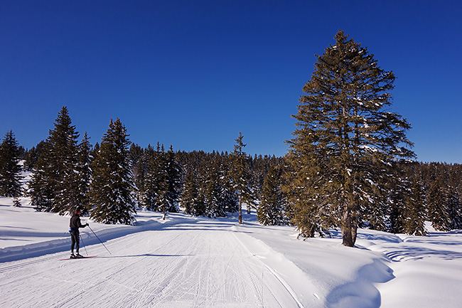 photo montagne alpes randonnée rando ski savoie beaufortain saisies ski fond skating