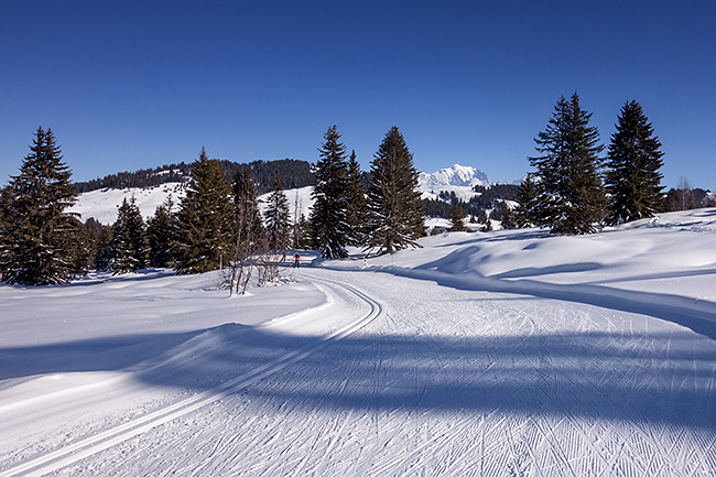 photo montagne alpes randonnée rando ski savoie beaufortain saisies ski fond skating