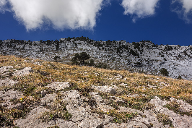 photo montagne alpes escalade grande voie bauges annecy roc boeufs dalle rousse lactate dragibus