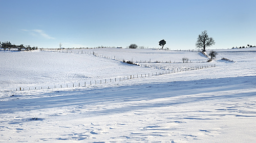 photo forez auvergne loire haute-loire neige hiver paysage