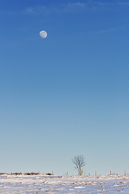 photo forez auvergne loire haute-loire neige hiver paysage