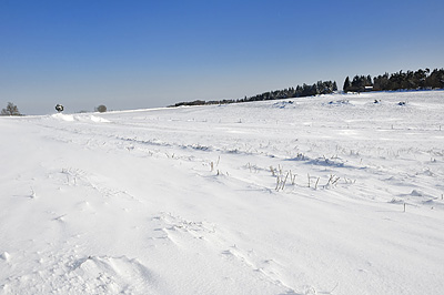 photo forez auvergne loire haute-loire neige hiver