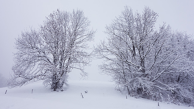 photo montagne alpes ski randonnée rando savoie bauges albertville fort batterie marthod