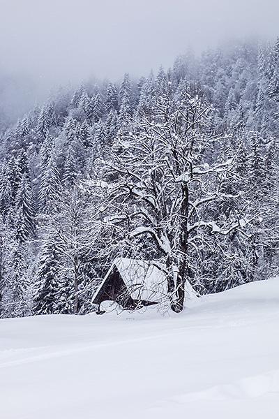 photo montagne alpes ski randonnée rando savoie bauges albertville fort batterie marthod