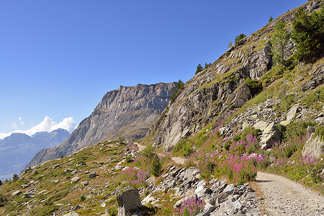 photo montagne alpes randonnée rando savoie haute maurienne mont cenis