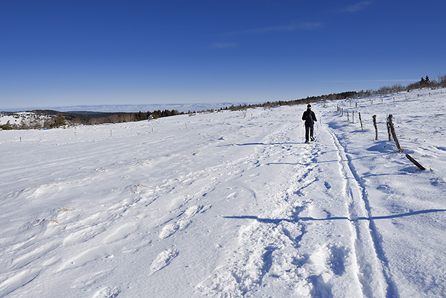 photo montagne auvergne loire forez randonnee rando raquettes col beal hautes chaumes pierre sur haute