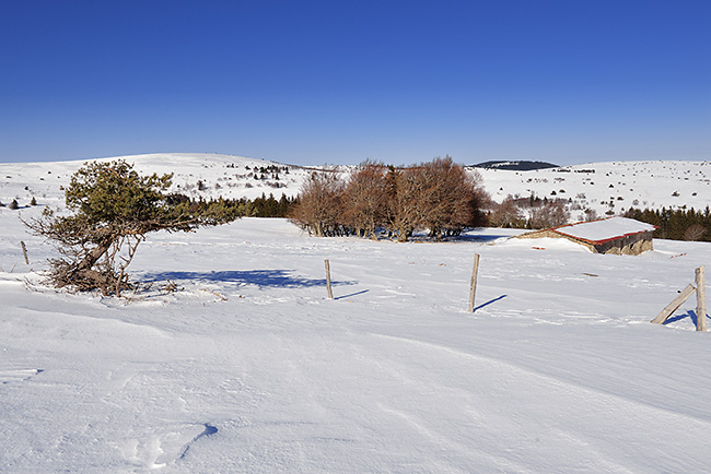 photo montagne auvergne loire forez randonnee rando raquettes col beal hautes chaumes pierre sur haute