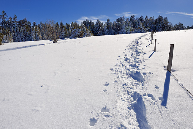 photo montagne auvergne loire forez randonnee rando raquettes col beal hautes chaumes pierre sur haute