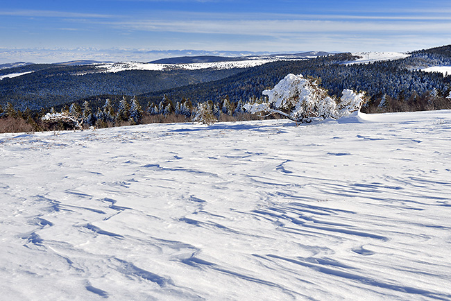 photo montagne auvergne loire forez randonnee rando raquettes col beal hautes chaumes pierre sur haute