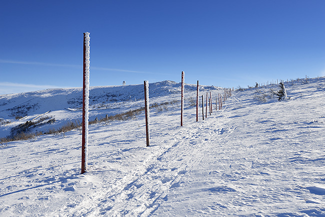 photo montagne auvergne loire forez randonnee rando raquettes col beal hautes chaumes pierre sur haute