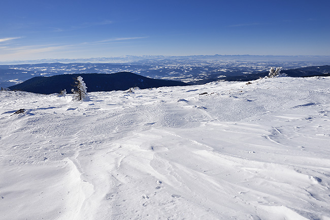 photo montagne auvergne loire forez randonnee rando raquettes col beal hautes chaumes pierre sur haute