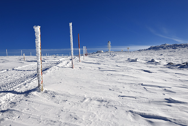 photo montagne auvergne loire forez randonnee rando raquettes col beal hautes chaumes pierre sur haute