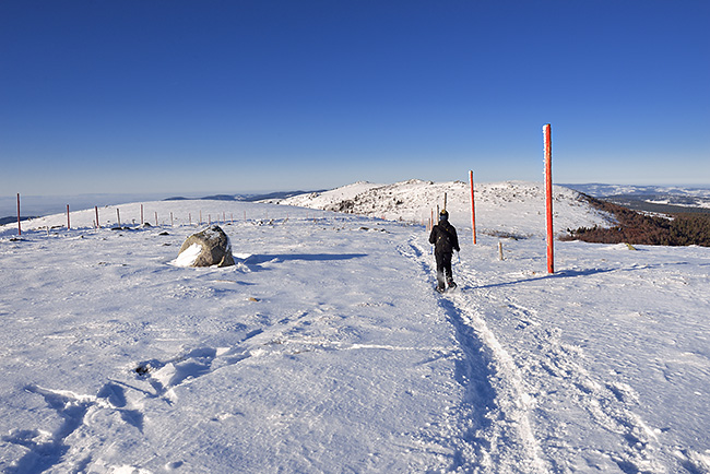 photo montagne auvergne loire forez randonnee rando raquettes col beal hautes chaumes pierre sur haute