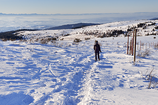 photo montagne auvergne loire forez randonnee rando raquettes col beal hautes chaumes pierre sur haute