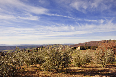 photo italie toscane toscana tuscany chianti