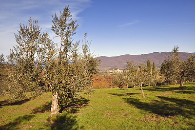 photo italie toscane toscana tuscany chianti