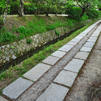 photo japon kyoto Chemin de la Philosophie