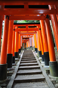 photo japon kyoto fushimi inari toriis rouges