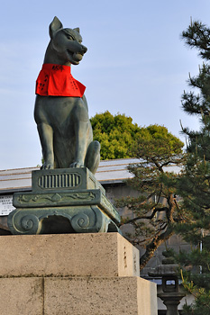 photo japon kyoto fushimi inari renard