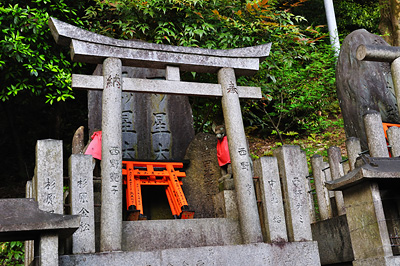 photo japon kyoto fushimi inari temple