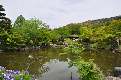 photo japon Parc Maruyama Koen