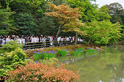 photo japon kyoto pavillon d'or kinkaku-ji