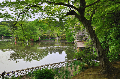 photo japon kyoto ryoan-ji