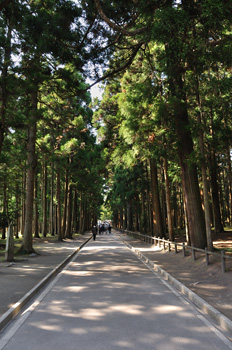 japon matsushima Zuigan-ji allée