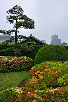 photo japon tokyo jardins palais impérial