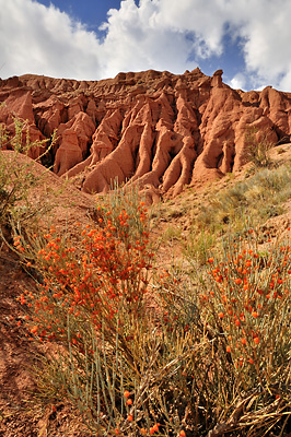 photo voyage asie centrale kirghizstan kirghizistan kirghizie kyrgyzstan bokonvaevo canyon skazka lac Ysyk-Köl Issyk-Kul Issyk-Köl