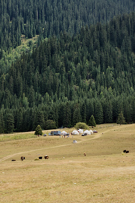 photo voyage asie centrale kirghizstan kirghizistan kirghizie kyrgyzstan karakol Jeti-Ögüz