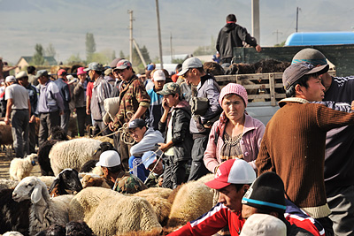 photo voyage asie centrale kirghizstan kirghizistan kirghizie kyrgyzstan karakol marche bestiaux