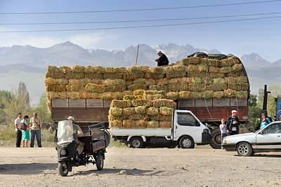 photo voyage asie centrale kirghizstan kirghizistan kirghizie kyrgyzstan karakol marche bestiaux