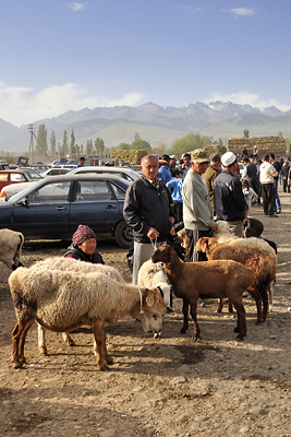 photo voyage asie centrale kirghizstan kirghizistan kirghizie kyrgyzstan karakol marche bestiaux
