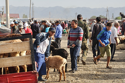 photo voyage asie centrale kirghizstan kirghizistan kirghizie kyrgyzstan karakol marche bestiaux